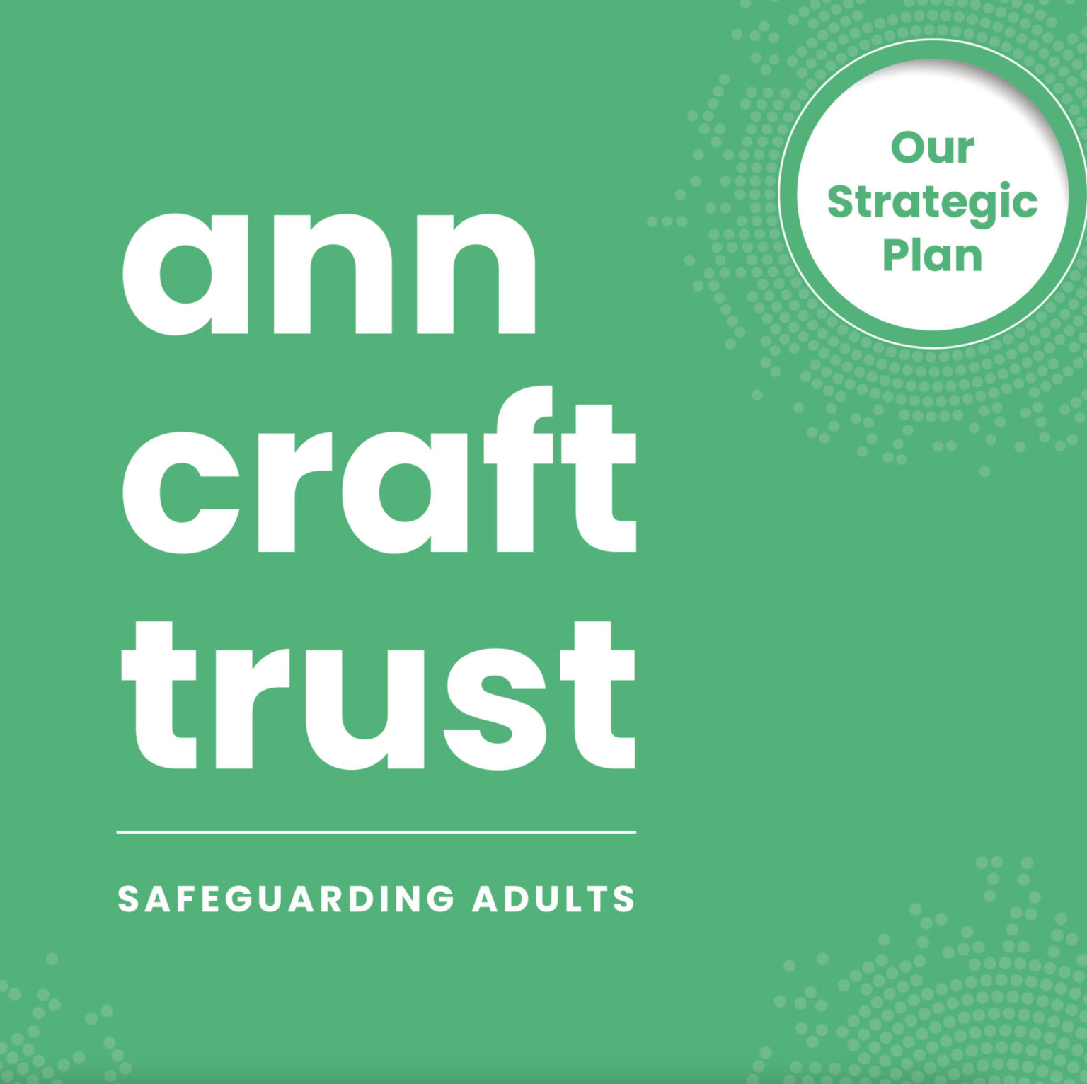 Strategy Cover Ann Craft Trust